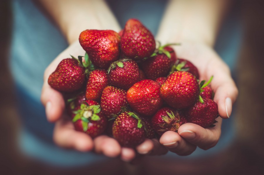 strawberries, hand, woman, offer, offering, fruit, red, growing, harvesting, concept, give, natural, bunch, much, 4k wallpaper