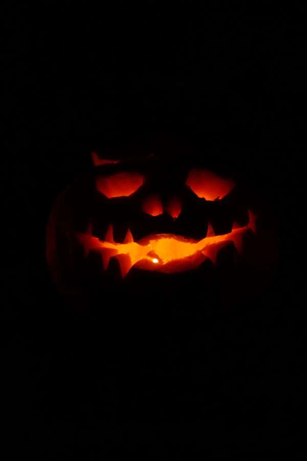 halloween, holiday, pumpkin, horror, scary, lantern, celebration, background, spooky, symbol, decoration, autumn, evil, face, orange, isolated, smile, cute, funny, fun, design, october, grinning, jack, fear, season, glowing, dark, vector, treat, white, trick, traditional, light, yellow, candle, object, squash, carved, card, icon, vegetable, illustration, ghost, happy, night, emotion, food, glow, illuminated