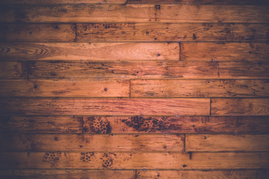 background, background, wood, front view, close-up, texture,