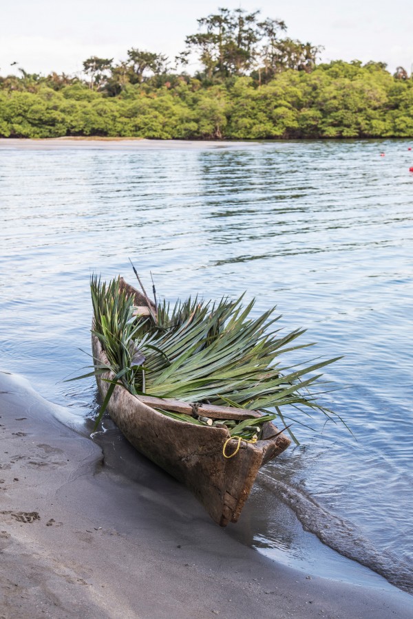 panama, island, beach, tropical, coast, canoe, boat, palm tree, nobody, transportation, river, beach, vacation, palm leaves,