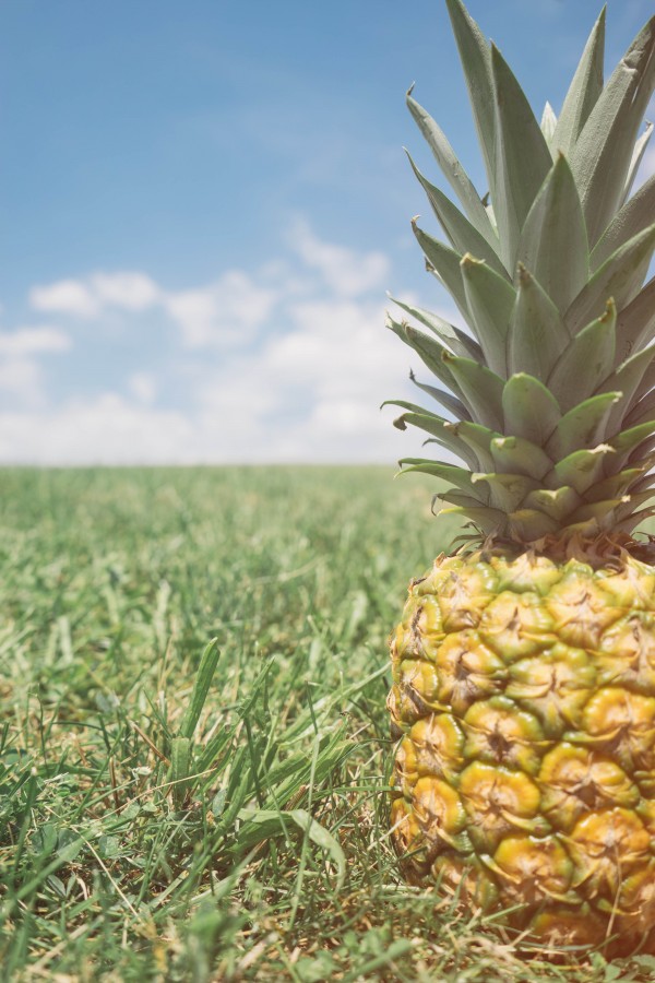 pineapple, fruit, fruits, fresh, tropical, food, pineapple, ripe, mature, close-up,