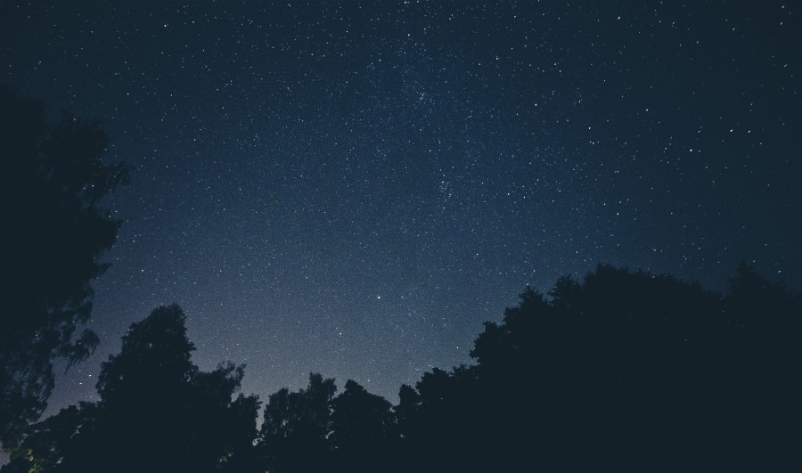 night, dusk, landscape, star, stars, dark, darkness, night, forest, sky, cosmos,