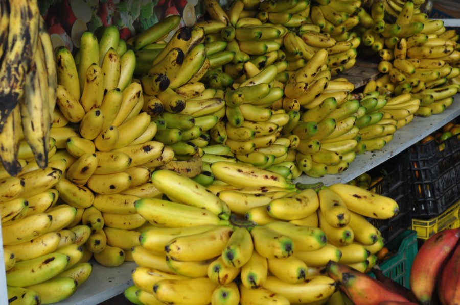 fruit, fruits, banana, bananas, plantains, bananas,