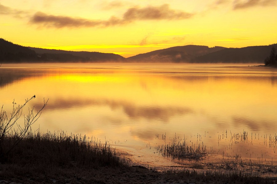 fog, haze, lake, sunset, dawn, germany, europe, day, landscape, Schluch,