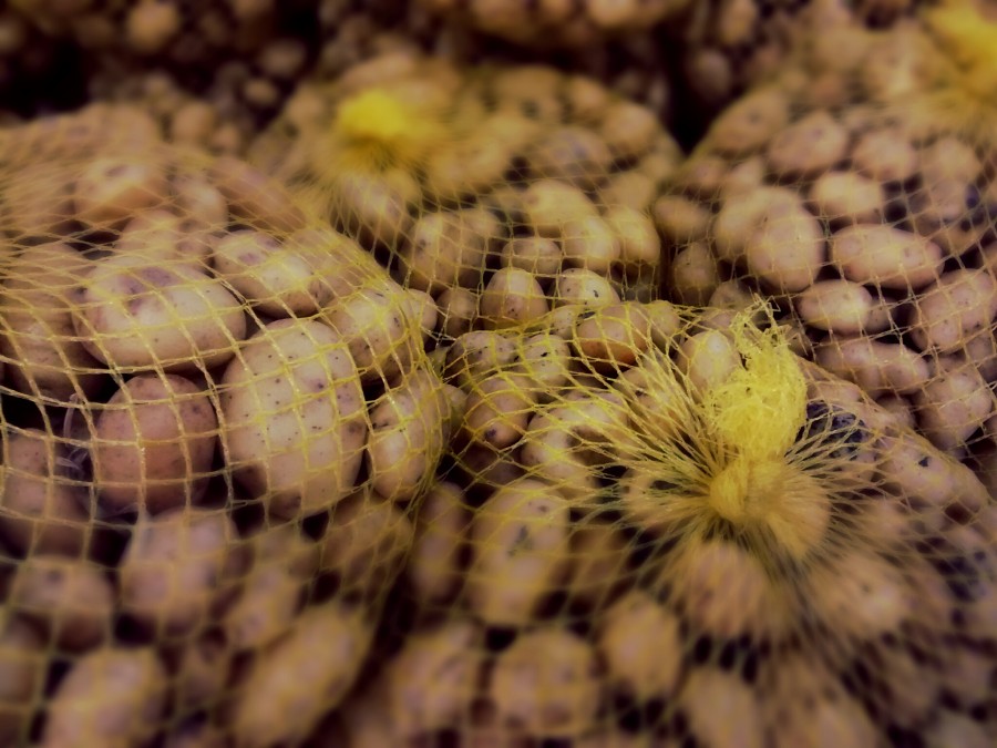 potatoes, root, tuber, baby potatoes, Andean, Andes, Ecuador, Peru, typical, america, latino, latina, bag, red, potatoe, 