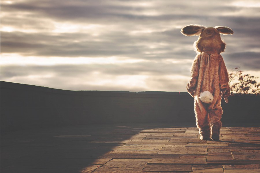 rabbit, costume, easter, Easter, weird concept, a person, 
disguised