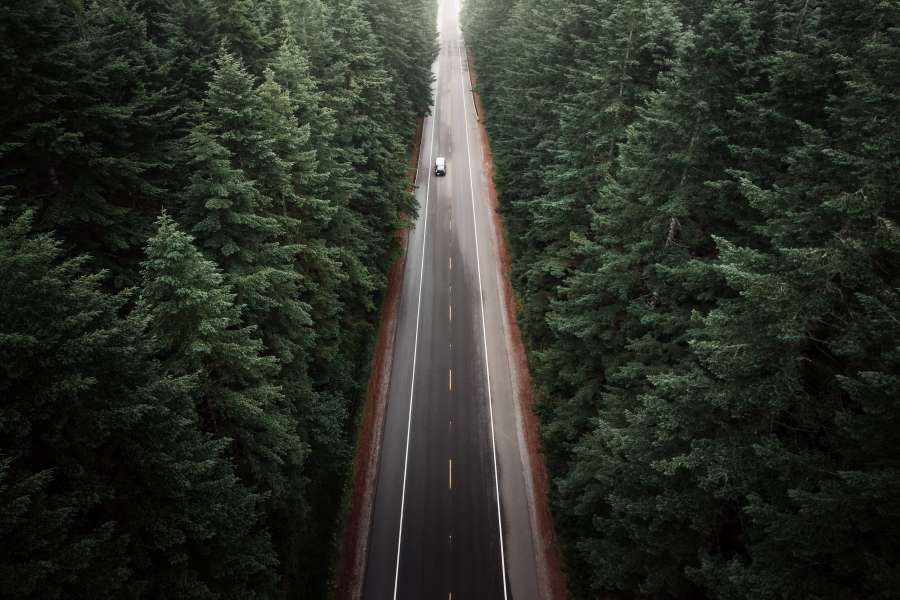 car, forest, drone pov, cenital, pine, car, driving, road, highland, canada, day, 