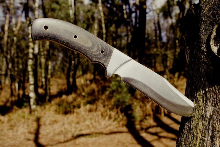 concept, aim, precision, tree, knife, 