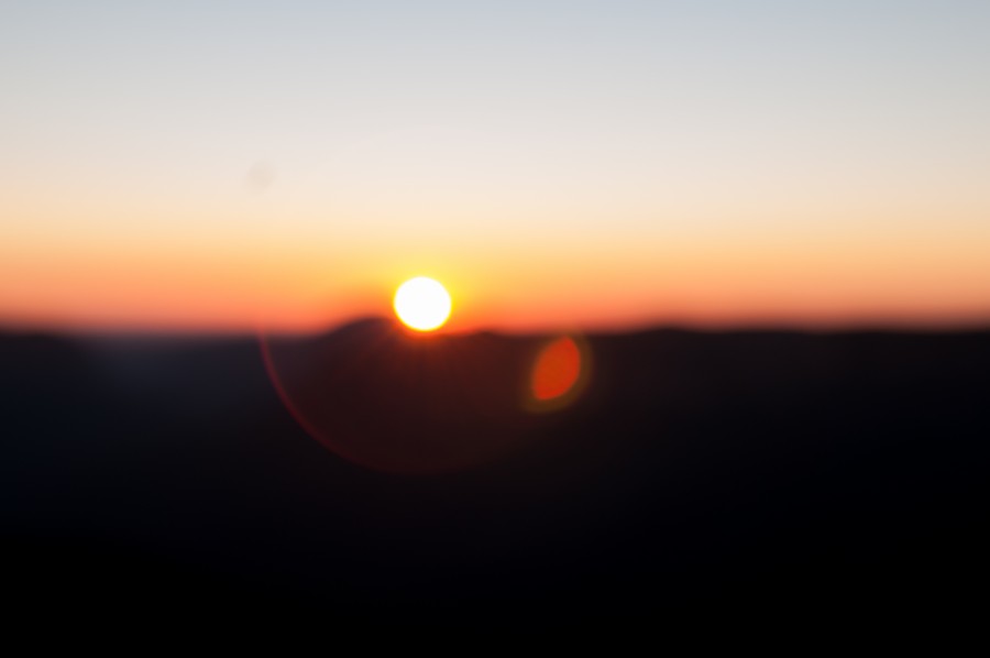 Bokeh, Sunset, Trees, abstract, background, bark, blur, brown, forest, lanscape, lightleak, luight, natural, nature, sky, sun, sunrise, texture, wood, 