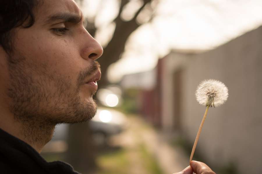 young, dandelion, man, blowing, nature, flower, spring, caucasian, summer, people, male, adult, beautiful, green, happiness, happy, outdoor, meadow, face, blowball, woman, seed, family, leisure, fun, natural, couple, grass, handsome, park, cheerful, sun, love, seeds, blow, outdoors, beard, activity, dream, cute, model, background, father, boy, female, person, white, dreaming, playful, child