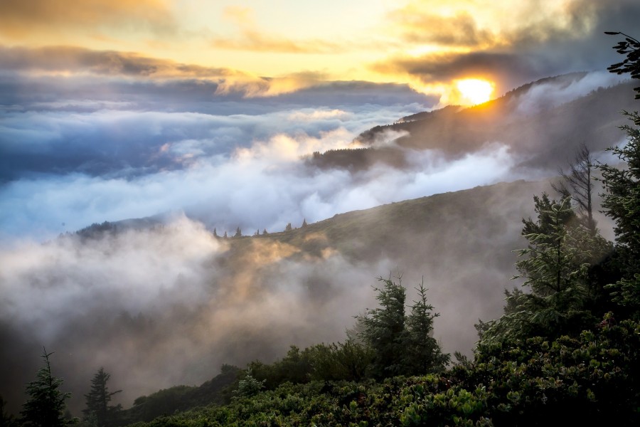 sunset, sunrise, fog, mist, mountain, mountains, landscape, day, forest,