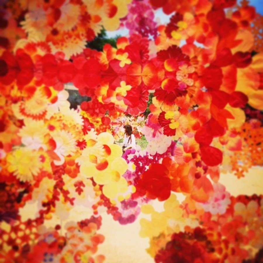 sunset, background, background, autumn, leaf, leaves, red, red, color, colors, nature, nobody, tree, 