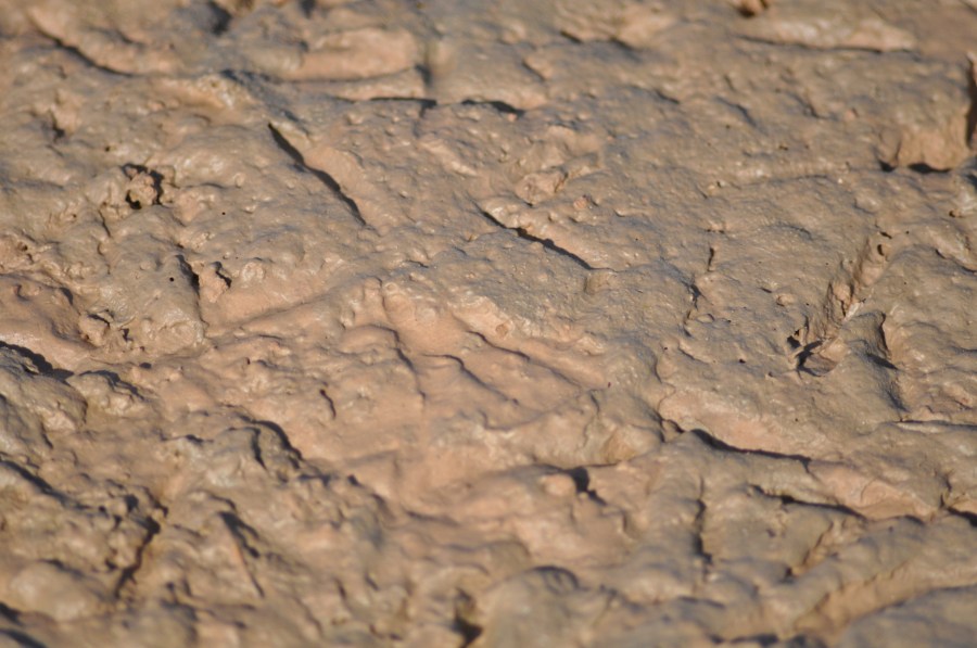 Texture, Textures, earth, dry, brittle, cracked, Arid, Land, Brown, Cracked, Arid Landscape, Backgrounds, Drought 