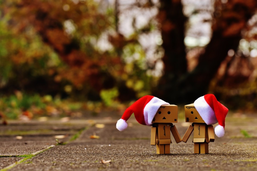 danbo, christmas, figure, together, in hand, love, love, union, for two people, funny, figures, friendship, valentine, connectivity, sweet, santa hat, christmas, fir, snow, cute, advent, contemplative, contemplation, festival, banner, gifts, send packages made