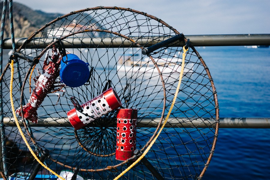 net, fisherman, mediomundo, tool, coast, sea,