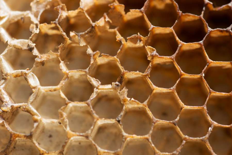 beeswax, honey, wax, nature, bee, cell, honeycomb, apiculture, apitherapy, natural, propolis, rural, ingredient, product, organic, hexagon, comb, cluster, hive, nutrition, healthy, sweet, empty, full frame, texture, macro, close up, detail, shape, 