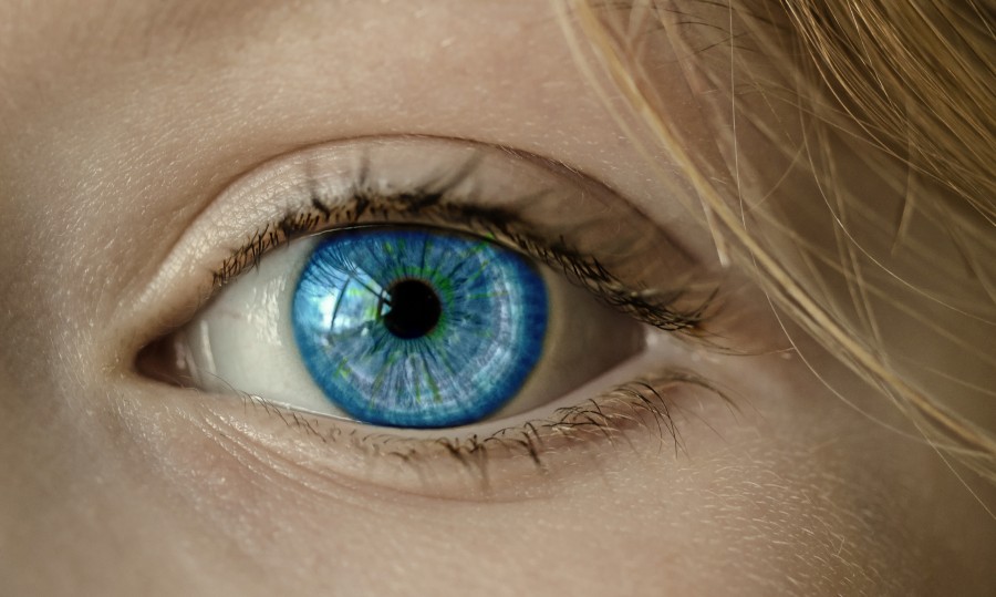 eye, blue, light blue, eyes, green, color, blonde, woman, close-up, face, iris, pupil,