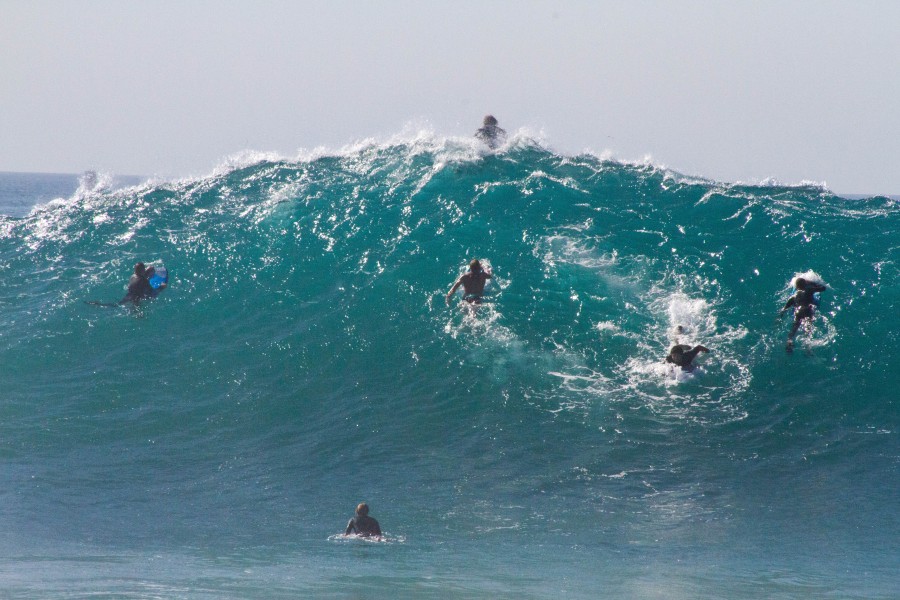 group of people, people, man, surf, wave, foam, table, sport, surfing,