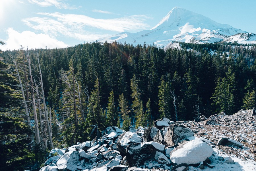 forest, landscape, day, exterior, nature, snow, mountain, snow, pine, 