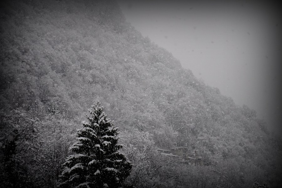 black, mountain, snow, winter, pine, landscape, night, snow, cold, background, and white 