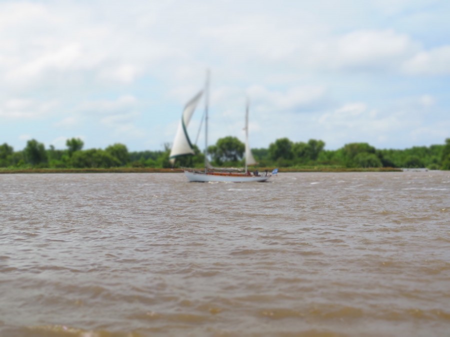 sailboat, river, sea, surf, Latin America, Argentina, Buenos Aires, boating, sailing, wind,