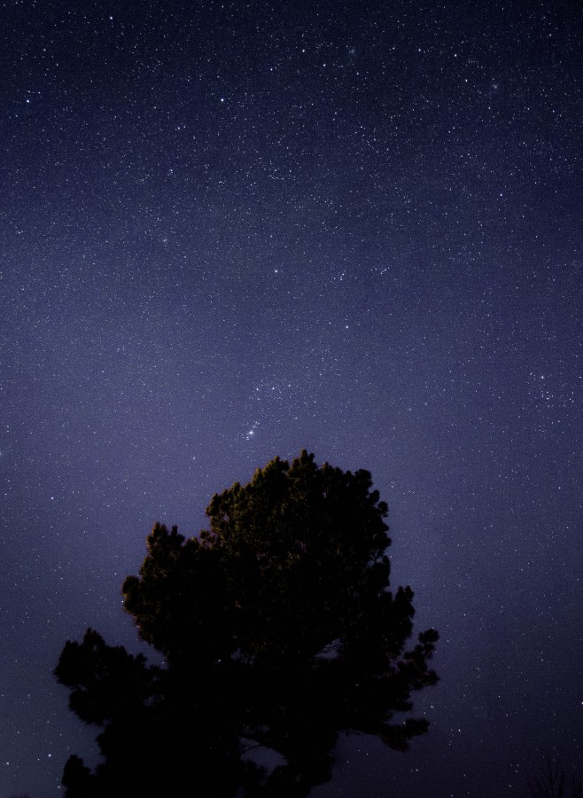 sky, night, stars star, starry, landscape, tree, night,