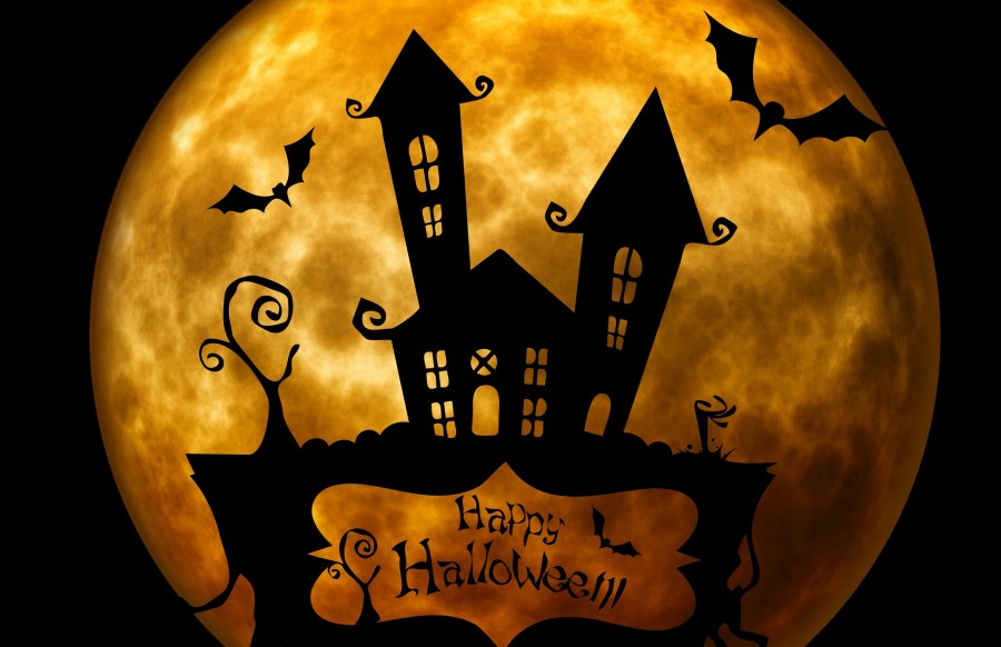 terror, scene, house, haunted, halloween, illustration,