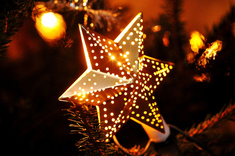 christmas, detail, ornamental navideo, navidea, decoration, celebration, 2015, celebration, christmas tree, tree,