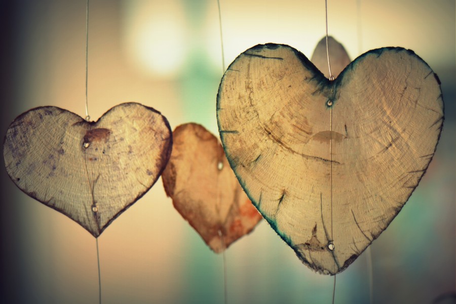wood, decoration, hanging, hearts, trunk, shapes, blur, ornament, romantic, love, tenderness, tender, sweet, sweet, lovers day, valentine, heart, images of love, tender images of love, romantic images, Free love images, love, girlfriend, boyfriend, boyfriends, love wallpapers, Hd heart wallpapers, Hd wallpapers, love hd images, love cute images for mobile, love romantic images hd love,  images wallpaper hd, love hd picture