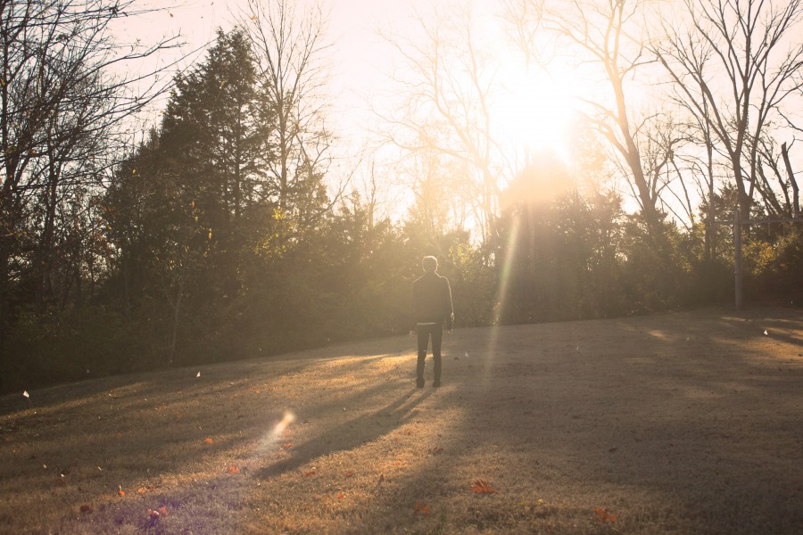 man, garden, field, sunset, young, nature, sunshine, watching the horizon, tranquility,