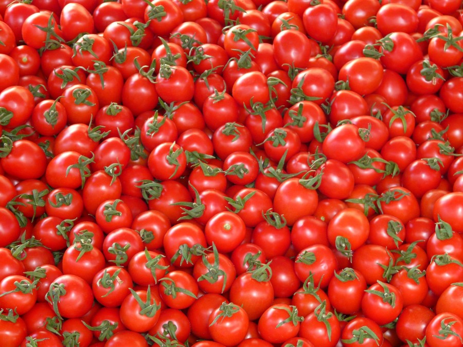 tomato, small, market, meal, red, crop, background, closeup, vegetarian, many, vibrant, agriculture, diet, organic, fruits, collected, vegetable, macro, cherry, healthy, shiny, texture, vitamin, color, close, fresh, nutrition, nature, cherry, pattern, harvest, food, juicy