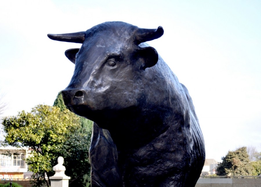 bull statue, iron, Osorno, Chile, day, animal, square, square, 