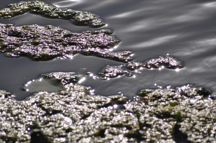 Texture, Textures, Water Reflection Lake 
