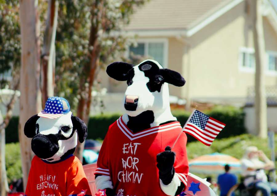american, independence, usa, day, america, holiday, july, celebration, happy, national, flag, united, freedom, blue, background, red, patriotic, fourth, 4th, patriotism, greeting, design, 4th of july, event, white, states, united states, independence day, country, celebrate, history, nation, 4, fourth of july, liberty, july 4th, july fourth, 4th of july background, flag usa, united states flag, people, disguise, 