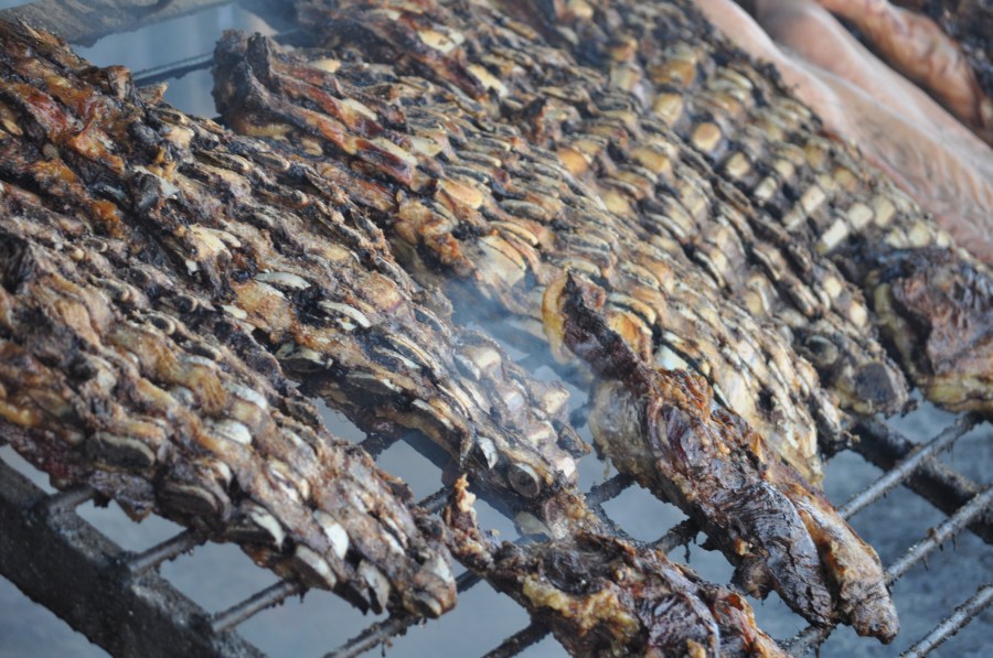 Roasted, Rotisserie, Grill, Typical Food, Tradition, Countryside, Meat, Ribs, Ribs, Embers, Cooked, Hot, Fat, Argentinian, Argentine, Beef
