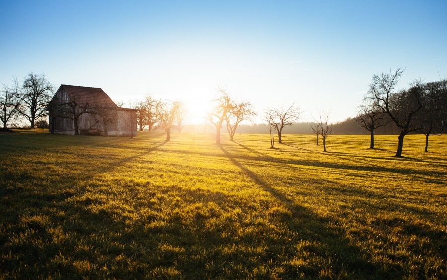 sunset, landscape, farm, field, rural scene, exterior, dawn, grass,