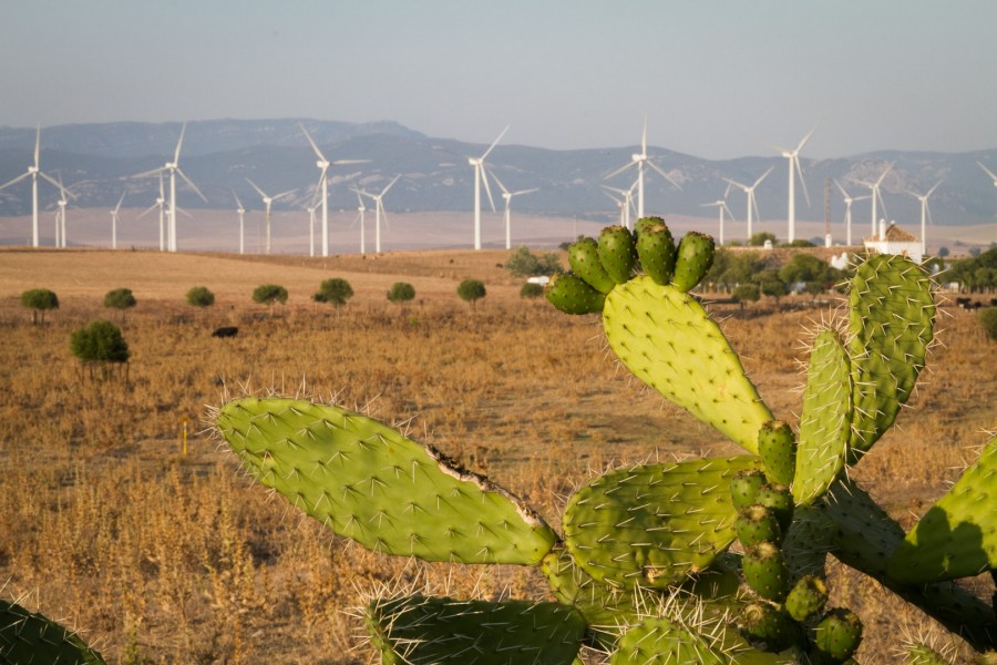 windmills, technology, field, outdoor, mill, energy, wind, natural, alternative, ecology, environment,
