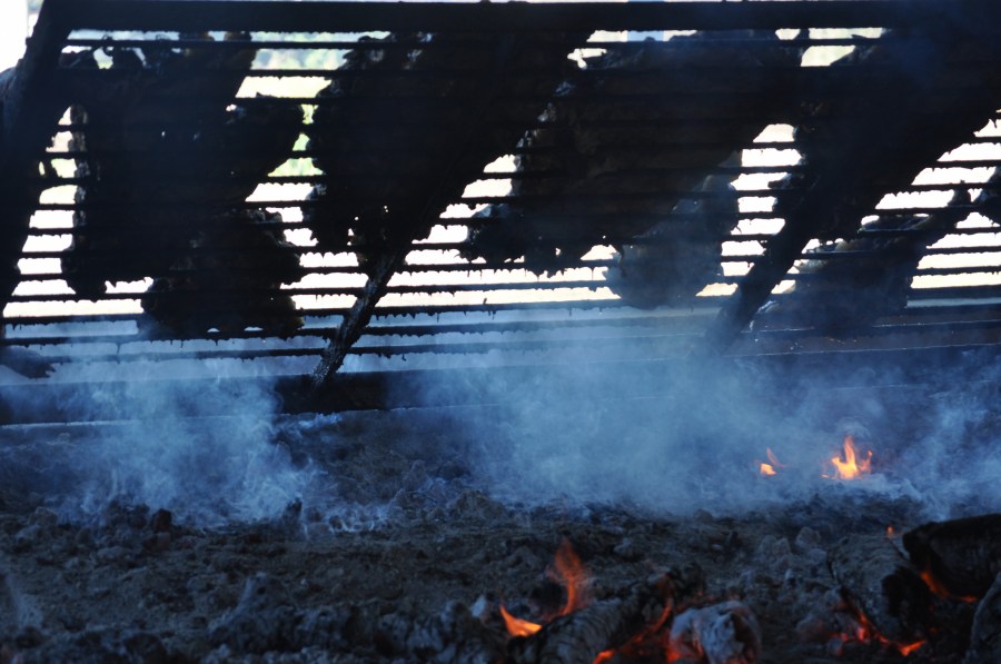 Roasted, Roasted, Grill, Traditional Food, Tradition, Field, Meat, Ribs, Ribs, Brasas, Hot, Fat, Jas