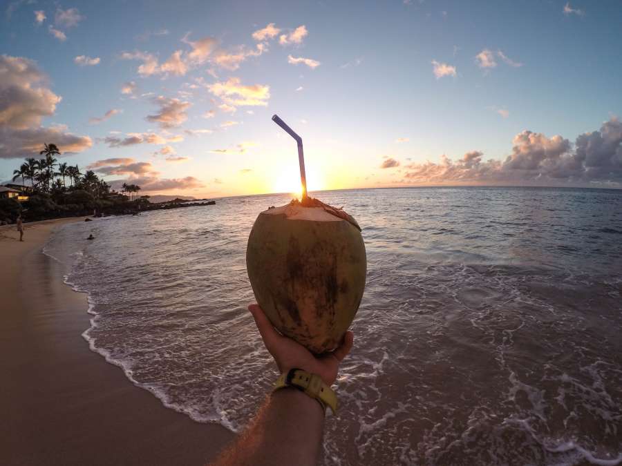 summer, vacation, coconut, hand, drink, cocktail, hold, tropical, beach, sunset, landscape, one person, man, sorbet