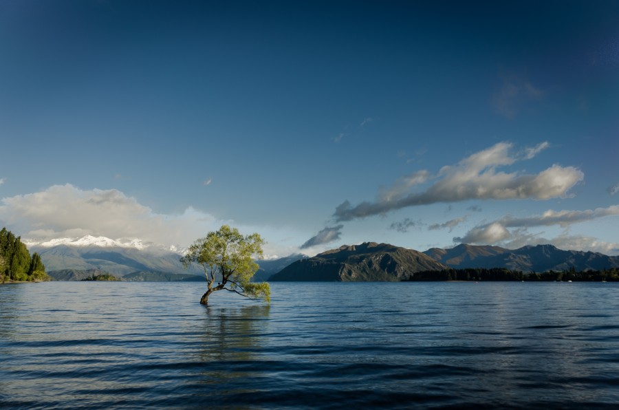 Nieuw Zeeland, South Island, Wanaka, New Zealand, Oceania, Island, Landscape, Day, Lake,