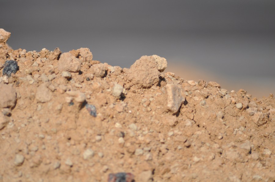 Texture, Textures, earth, dry, brittle, cracked, Arid, Land, Brown, Cracked, Arid Landscape, Backgrounds, Drought 