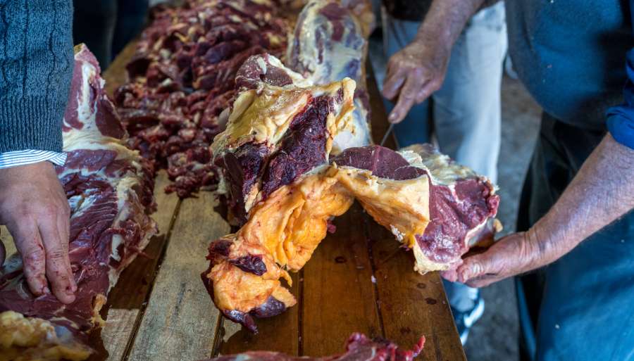 Argentina, Asado, Meat, Food, Typical, Patagonia, Cow, Beef, Animal, Slaughter, Knife, People, Work, Profession, Butcher, Field, Rural scene, Production, Livestock, Piece, Part, 