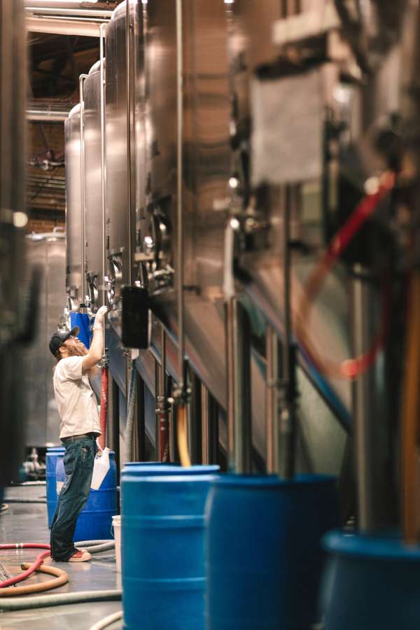 beer, brewery, alcohol, factory, brewer, industry, worker, working, manufacturing, people, drink, expertise, occupation, person, microbrewery, young, equipment, craft, men, professional, fermenting, business, one, man, beverage, entrepreneur, real, production, distillery, machine, males, owner, tank, container, processing, checking, indoors, small, vat, metal, testing, holding, storage, food, caucasian, examining, line, steel, glass, male