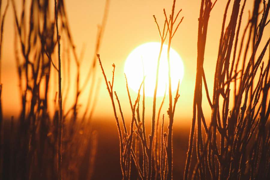sunset, nature, field, exterior, sunset, sunset, landscape, day, golden, sunrise,
