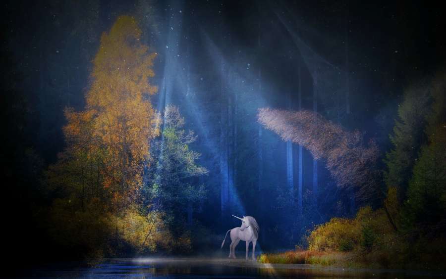 unicorn, beautiful, mythology, tender, unicorn to print, wallpaper of unicorn, animated unicorn, animal, unicorns, unicorn background, images of pretty unicorns, color unicorns, unicorns coloring, real unicorns, unicorns kawaii, unicorn drawing, colorful