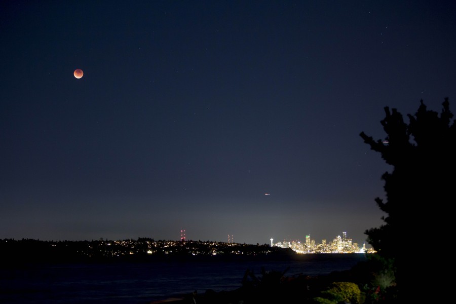 moon, sky, red, red, night, night, landscape, phase, lunar, city, lights, 