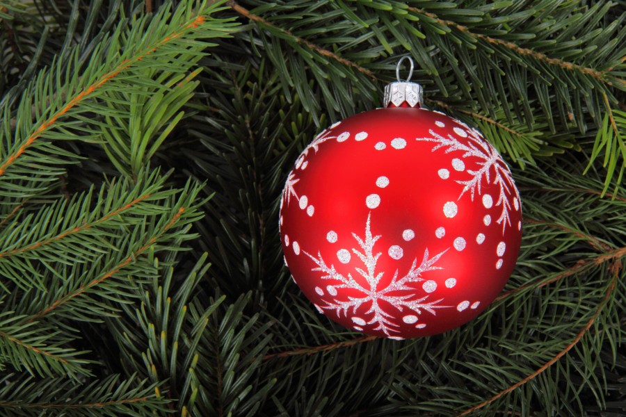 christmas, detail, ornamental navideo, navidea, decoration, celebration, 2015, celebration, red, christmas tree, tree,