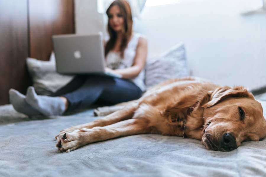 Woman, Computer, Female, Technology, Laptop, Sitting, Caucasian, Young, Girl, Internet, Notebook, Person, Business, Work, Communication, Attractive, Modern, People, Work, Beautiful, Happy, Digital, Wireless, Office, White, Adult, Connection, Casual, Indoors, Home, Brunette, Using, Copy Space, Home, Pretty, Writing, White, Learning, Laptop, Professional, Working, Screen, Desk, Personal Computer, Studying, Portrait, Businesswoman, Workplace, Student, Table Youth, Beauty, Surf, Background, Chatting, University, Smart, Looking, Typing, Hand, African, Multimedia, Window, College, Study, Indoor, Online, Comfortable, Businessman, Well, Pensive, Dressed, Pensive, Cute, Education, Afro, Necklace, View, Laborer, Profession, Ethnic, Employee, American, Career, Device, Evening, Black, Chair, Side, Elegant, Occupation, Successful, Corporate, Casual wear, Manager, Meal And Drink, Cafe, Business Owner, Small Emp Day, Horizontal, Coffee Cup, Looking At Screen, Laptop, Messaging, My Llennial, Local Business, Email, Customer, Elevated View, Service, Sunlight, Cafe, 20s, Selective Focus, Three Quarter Length , Classroom, Designer, Creative, Lifestyle, Cheerful, Curly, Project, Interior, Start-up, Aside, Convenience Style, Social Media, One Person, Aerial View, Young Adult, Using Computer, Coffee Bar, Smartphone, Morning, Coworking, College, Navigation, Look, Eyeglasses, Technology, Browse, Positivity, Email, Email, Glance, Business Woman Place, Close Up, Keyboard, Copy Space, Secretary, Keyboard, Type, Empty , Web, Couch, Happiness, Relaxing, Homey, Peaceful, Living room, Couch, Enjoying, Purple, Brown hair, Red, Smile comfortable, Copy space, Copy space, Attire, Workplace, Household, Household , Calm, Home, Dress up, Bed, Social, Cross, Folded, Born Netbook, Bedroom, Clothes, Touching, Clothing, Reading, Mobile Task, Screen, Carefree, Blogs, Networking, Jeans, Tall, Isolated, Laptop, Close-up, Close-up, Chat, Gray, Conncection, Floor, Teenager, Smiling, Sweater, Model Legs, Room 0
