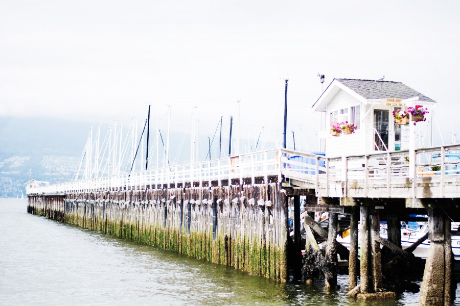 dock, navy, coast, day, close-up, wood, bat, bats,