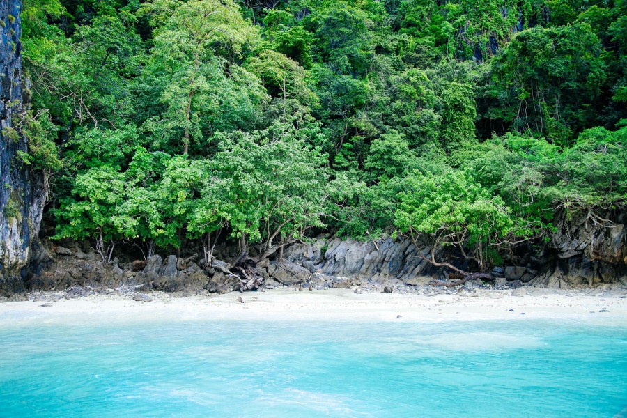 beach, caribbean, nobody, jungle, forest, landscape, summer, coast, sea, virgin, 
